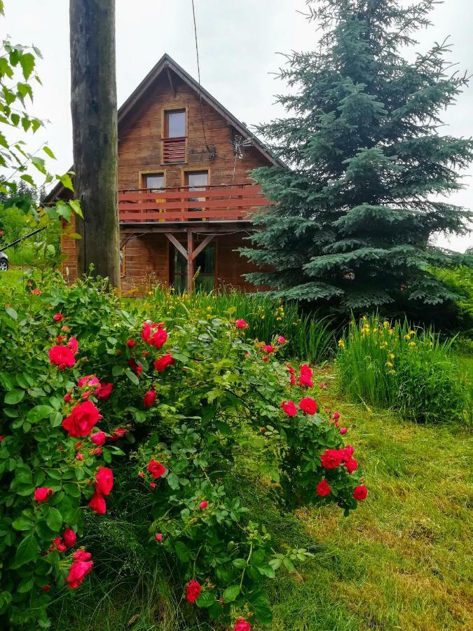 Dom Ignacy Apartament Radochow Zewnętrze zdjęcie